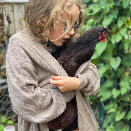 The Annex: 2 Bedroom Cottage, Countryside, Peaceful Getaway With Garden * 이징올드