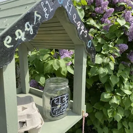 펜션 The Annex: 2 Bedroom Cottage, Countryside, Peaceful Getaway With Garden 이징올드